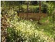 Glenorie NSW 2157