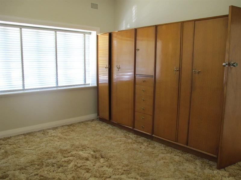 41 Ryrie Road, Earlwood NSW 2206