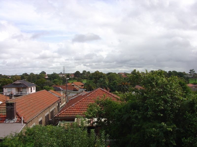 19 Stone Street, Earlwood NSW 2206