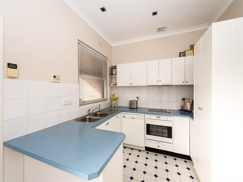 3 Richard Avenue, Earlwood NSW 2206