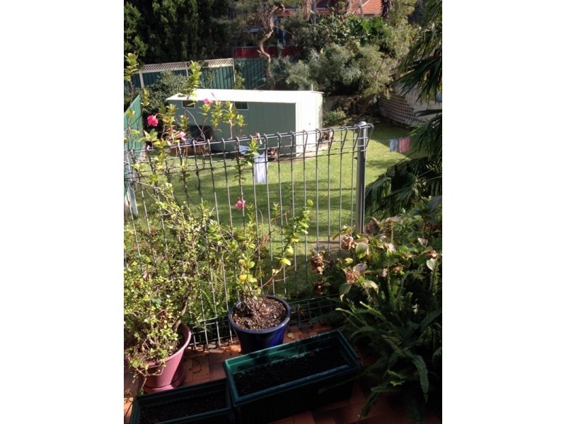 67 Wardell Road, Earlwood NSW 2206