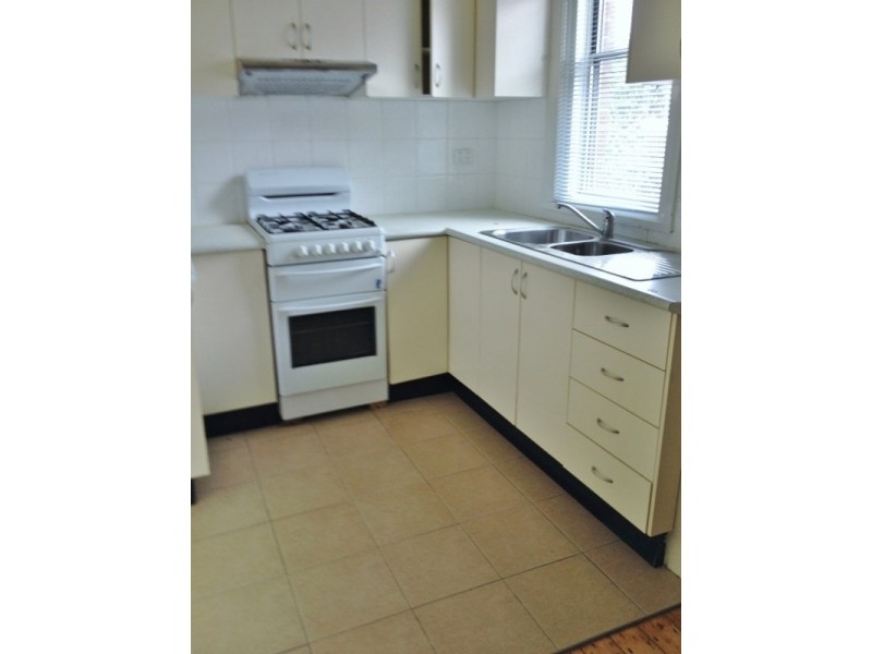 17 Willunga Avenue, Earlwood NSW 2206