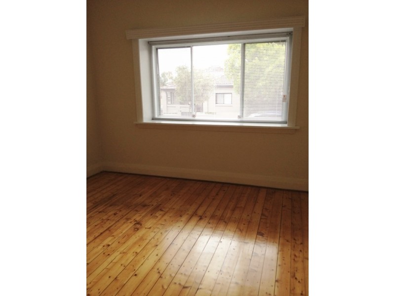 17 Willunga Avenue, Earlwood NSW 2206