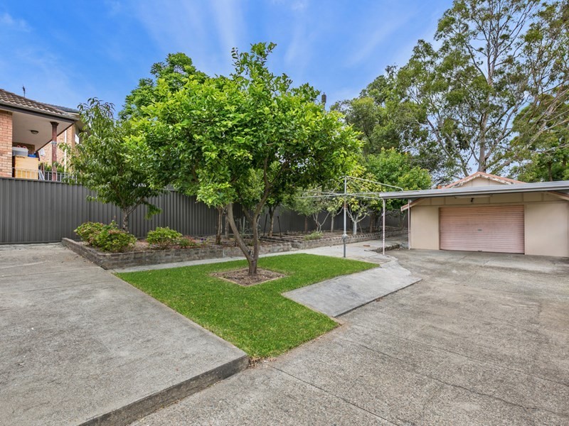 43 Nelson Road, Earlwood NSW 2206