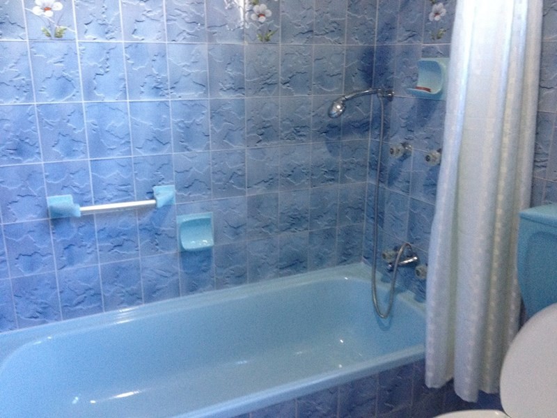 3 Weyland Street, Punchbowl NSW 2196