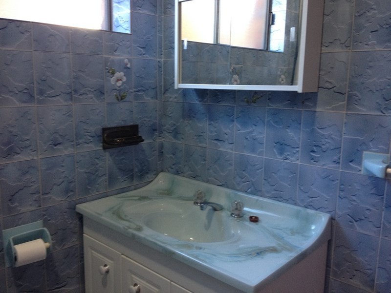 3 Weyland Street, Punchbowl NSW 2196