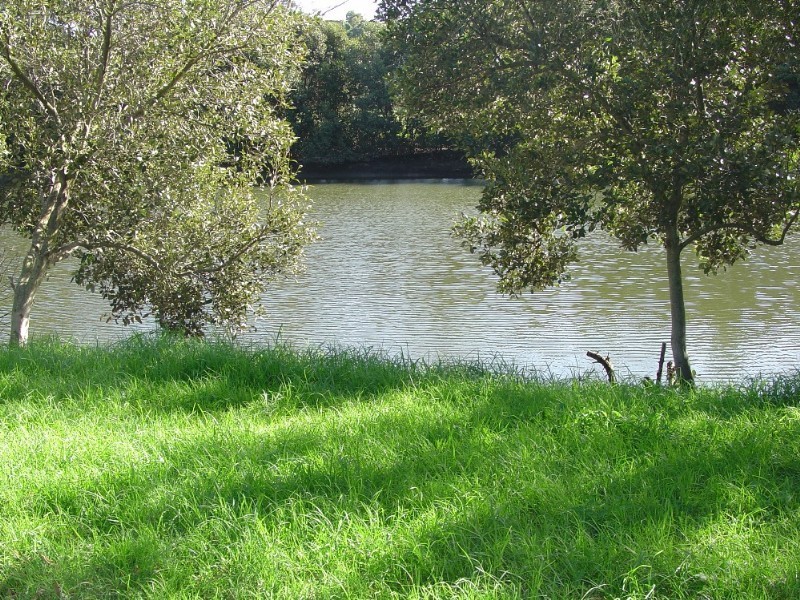 1 Bamboo Avenue, Earlwood NSW 2206