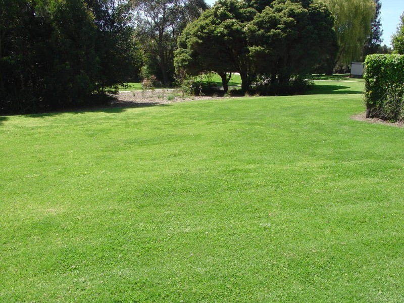 11 Gornall Avenue, Earlwood NSW 2206