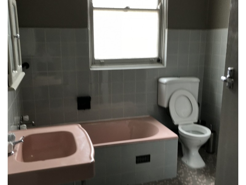 1/151 Homer Street, Earlwood NSW 2206