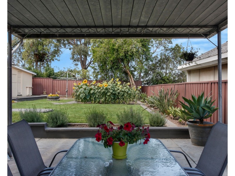 38 Chelmsford Avenue, Belmore NSW 2192