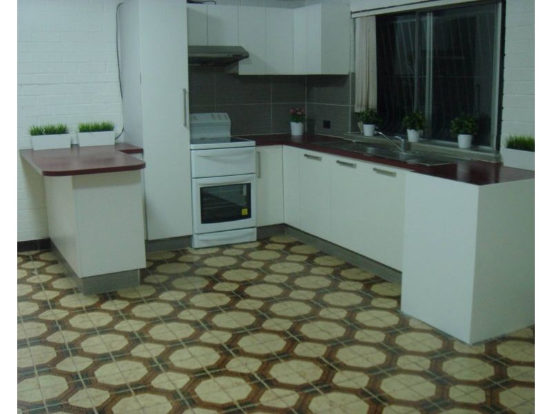 166 Brighton Avenue, Campsie NSW 2194