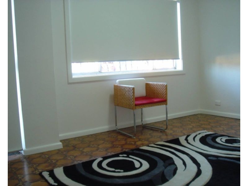 166 Brighton Avenue, Campsie NSW 2194