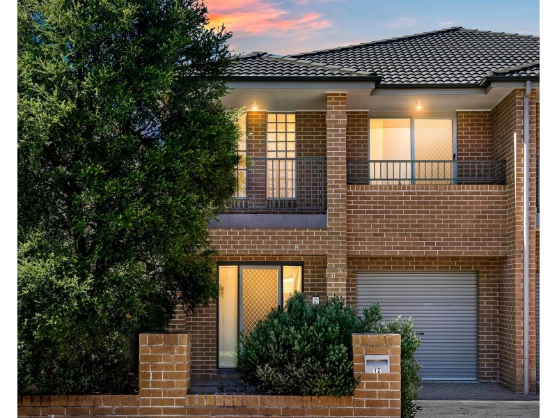 12 Messiter Street, Campsie NSW 2194