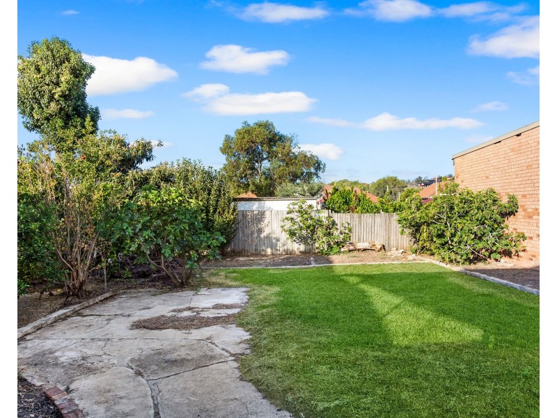 49 Malley Avenue, Earlwood NSW 2206