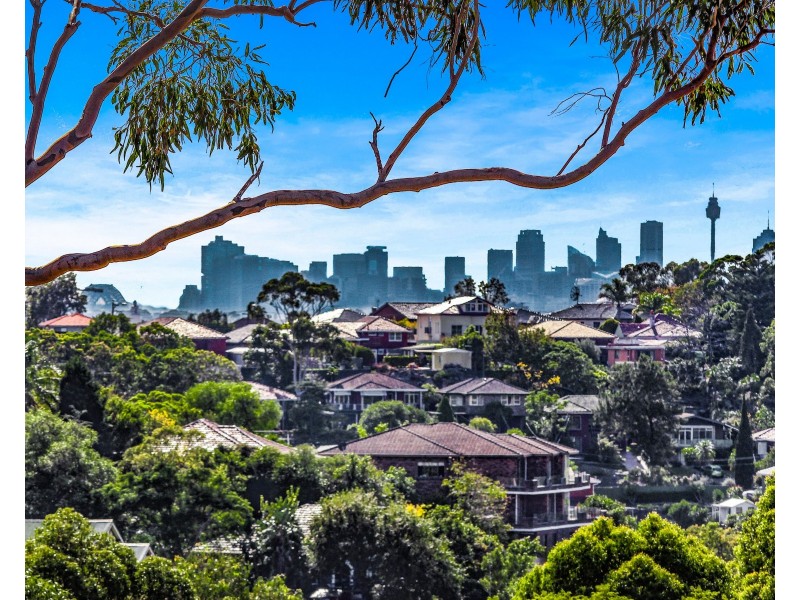 41 Hocking Avenue, Earlwood NSW 2206