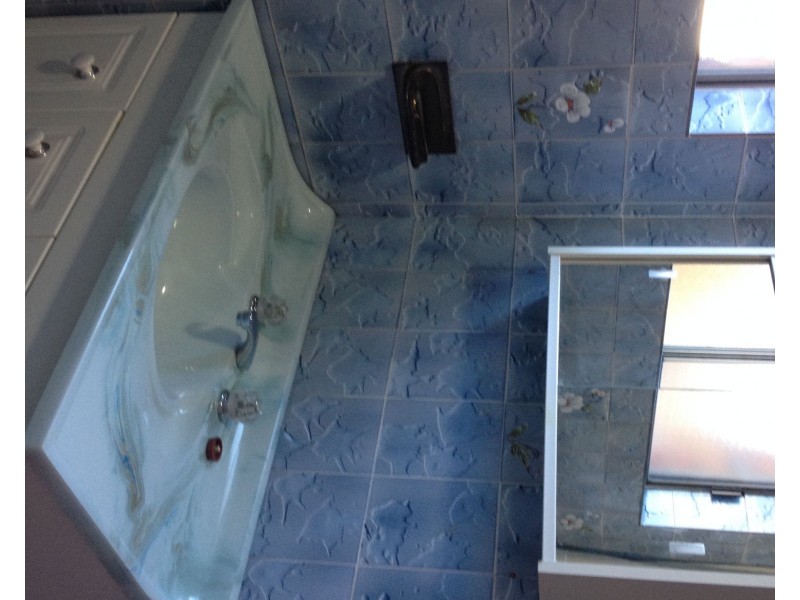 3 Weyland Street, Punchbowl NSW 2196