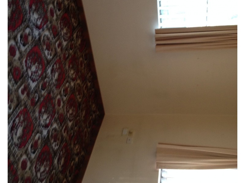 3 Weyland Street, Punchbowl NSW 2196