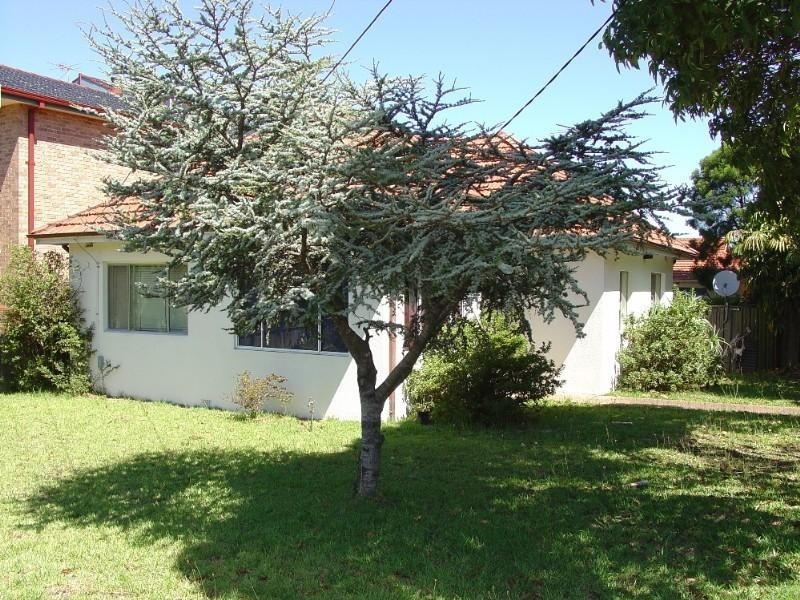 46 Fricourt Avenue, Earlwood NSW 2206