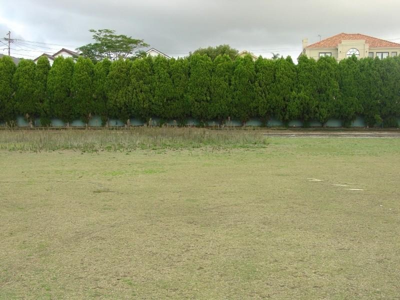 7 Kitchener Avenue, Earlwood NSW 2206