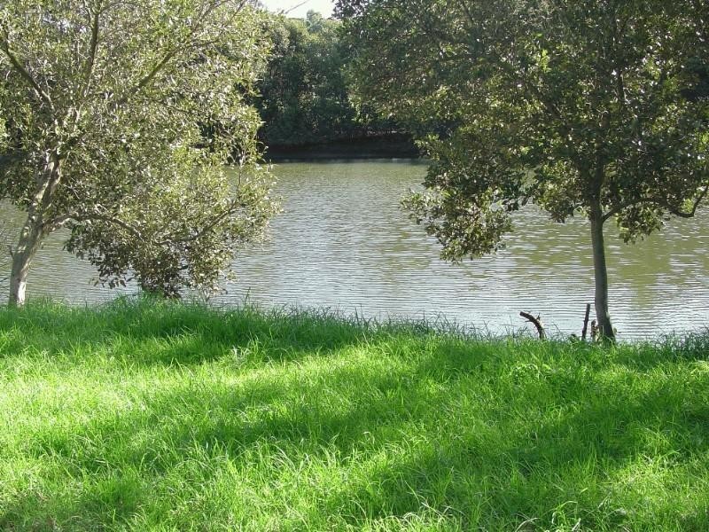 1 Bamboo Avenue, Earlwood NSW 2206