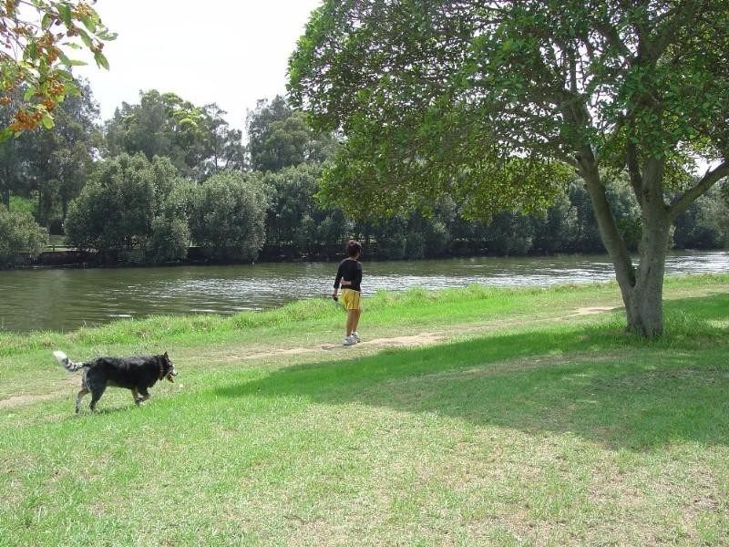 1 Bamboo Avenue, Earlwood NSW 2206