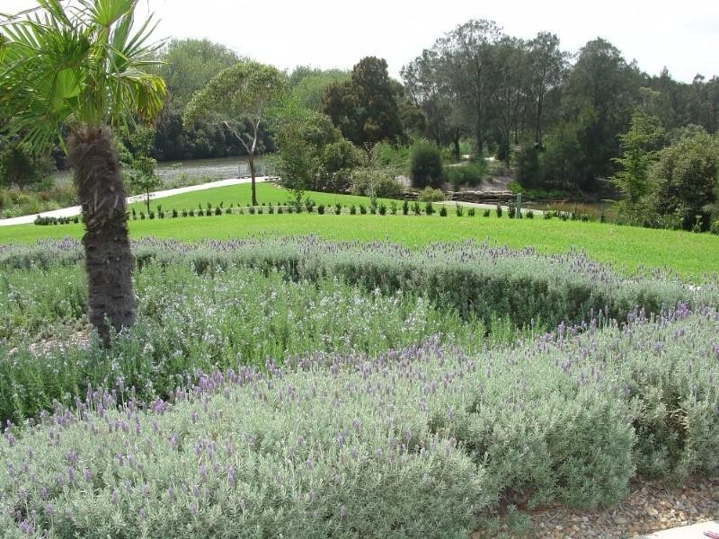 1 Bamboo Avenue, Earlwood NSW 2206