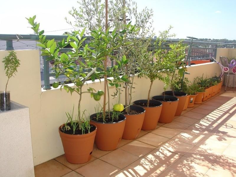 7/338-342 Canterbury Road, Canterbury NSW 2193