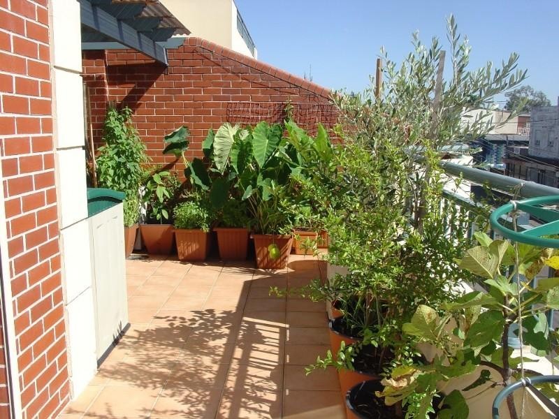 7/338-342 Canterbury Road, Canterbury NSW 2193