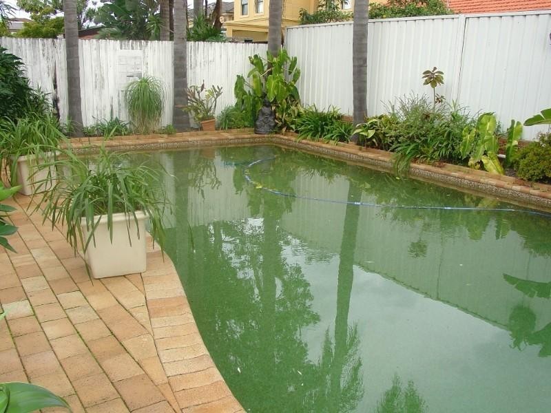 40 Flers Avenue, Earlwood NSW 2206