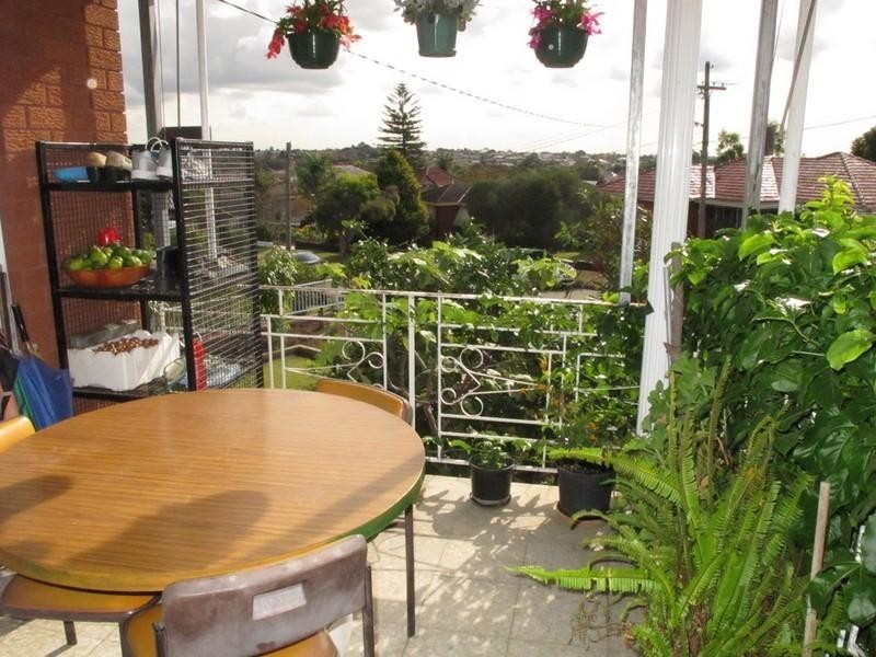 14 Waygrove Avenue, Earlwood NSW 2206