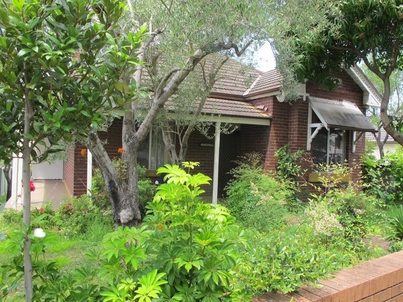 141 Riverview Road, Earlwood NSW 2206