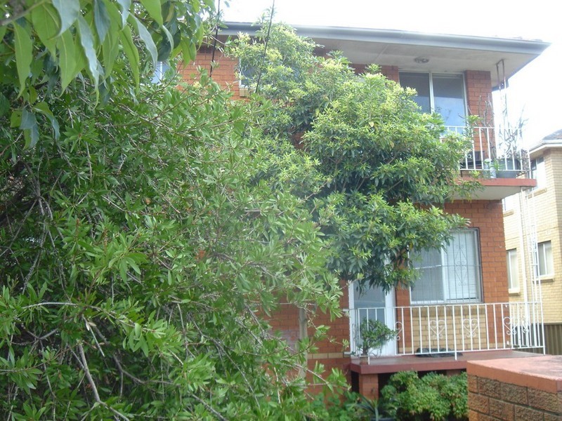 4/47 Beaumont Street, Campsie NSW 2194