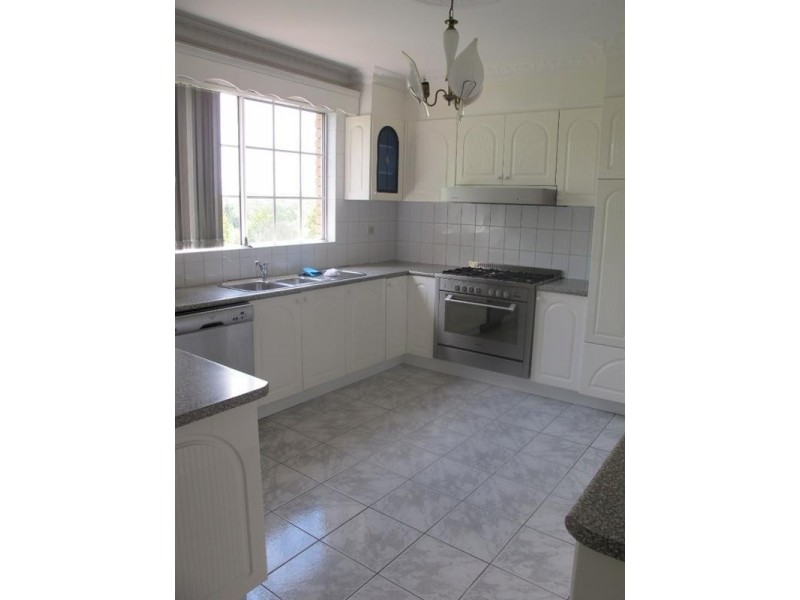 43 Homer Street, Earlwood NSW 2206