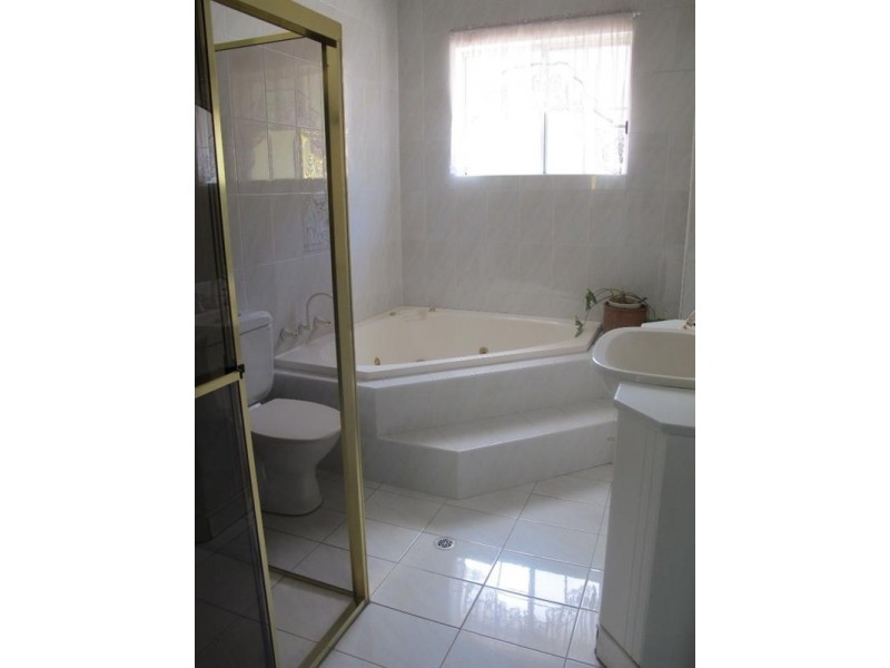 43 Homer Street, Earlwood NSW 2206