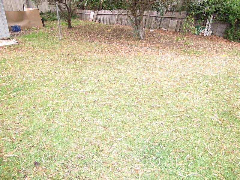 6 Arinya Street, Kingsgrove NSW 2208