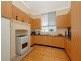 56 Wonga Street, Canterbury NSW 2193