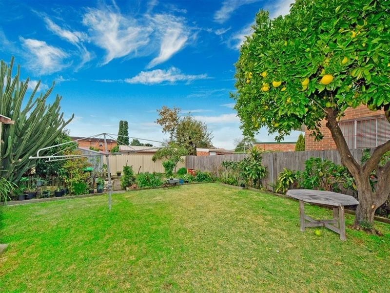 56 Wonga Street, Canterbury NSW 2193