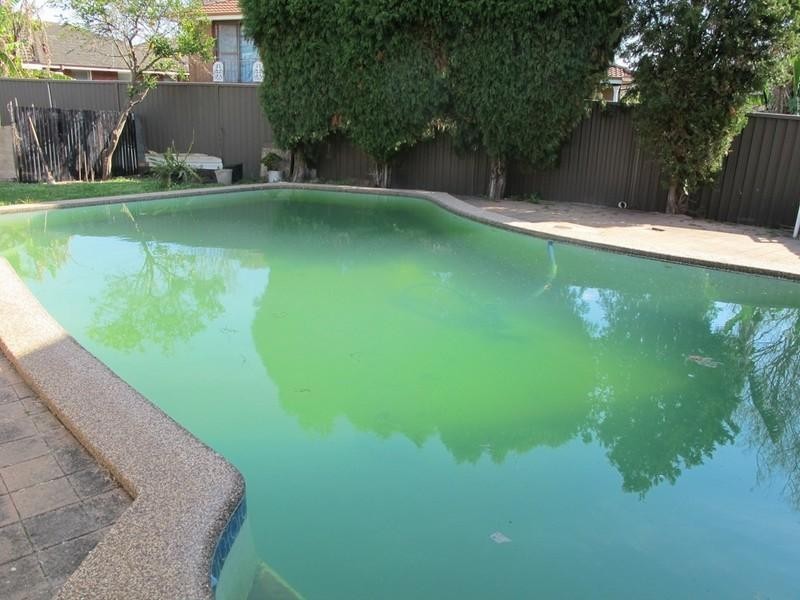 119 Kingsgrove Road, Kingsgrove NSW 2208