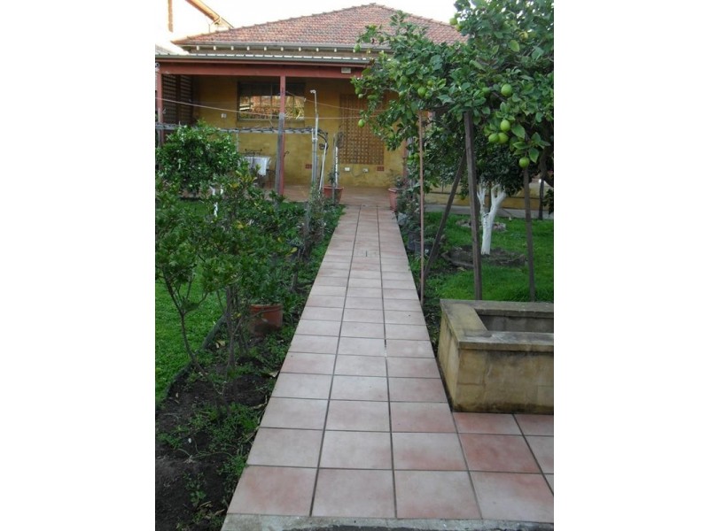 22 Howard Street, Canterbury NSW 2193