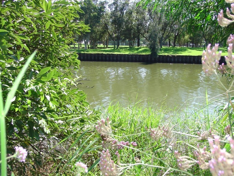 10 Younger Avenue, Earlwood NSW 2206