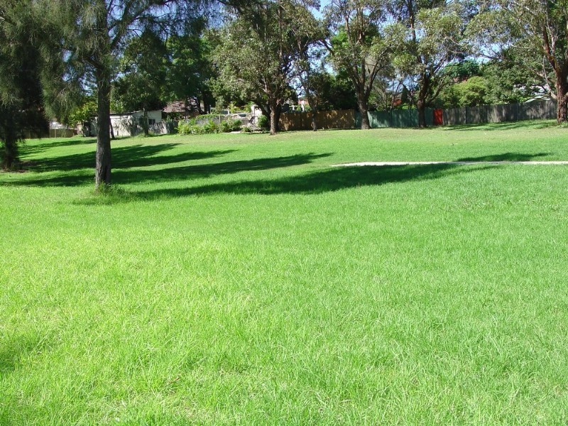 10 Younger Avenue, Earlwood NSW 2206