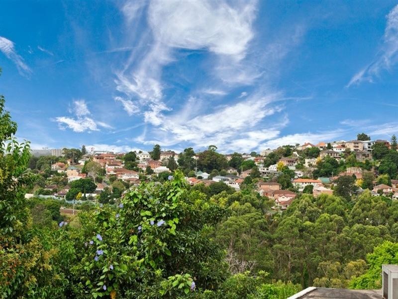 50 Hocking Avenue, Earlwood NSW 2206