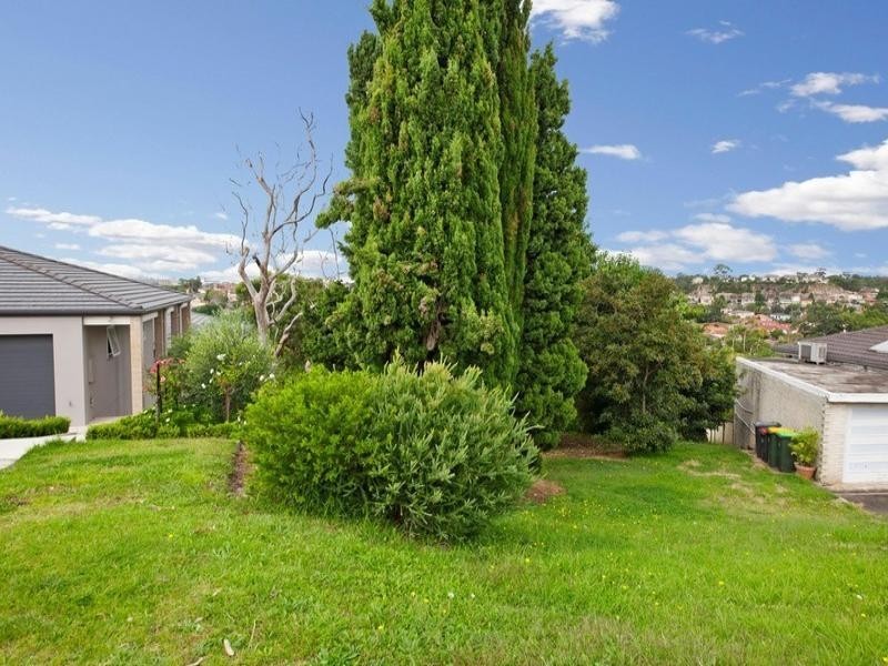 50 Hocking Avenue, Earlwood NSW 2206