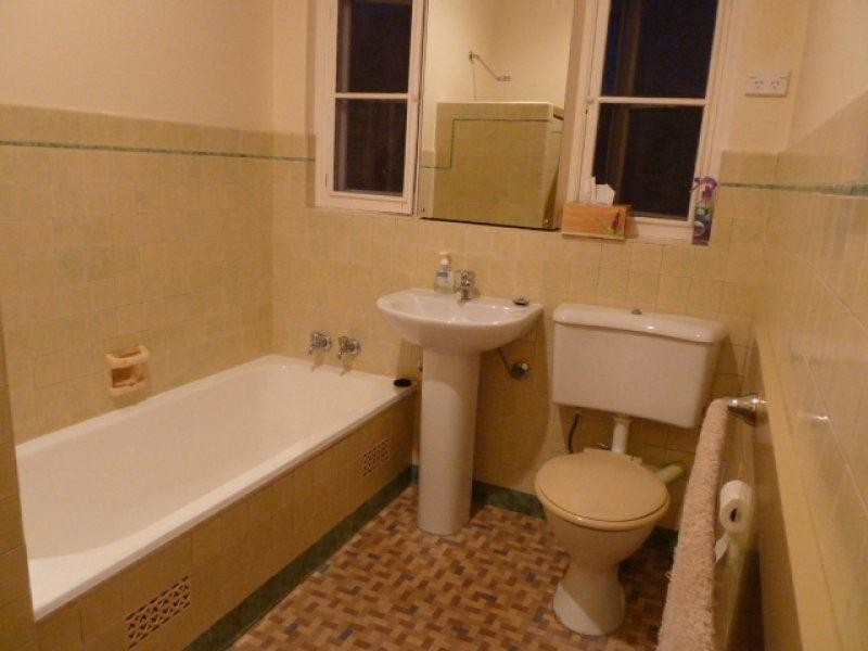 3 Ibex Street, Earlwood NSW 2206