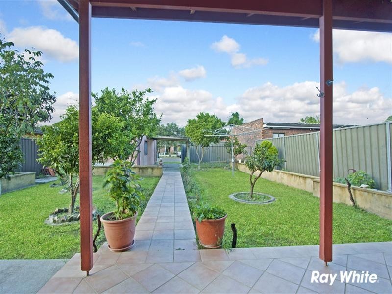 22 Howard Street, Canterbury NSW 2193