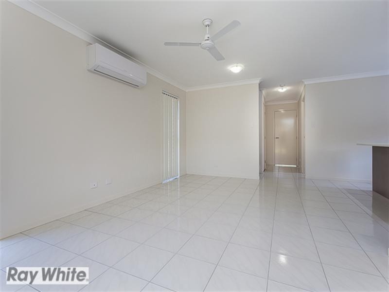 Griffin QLD 4503