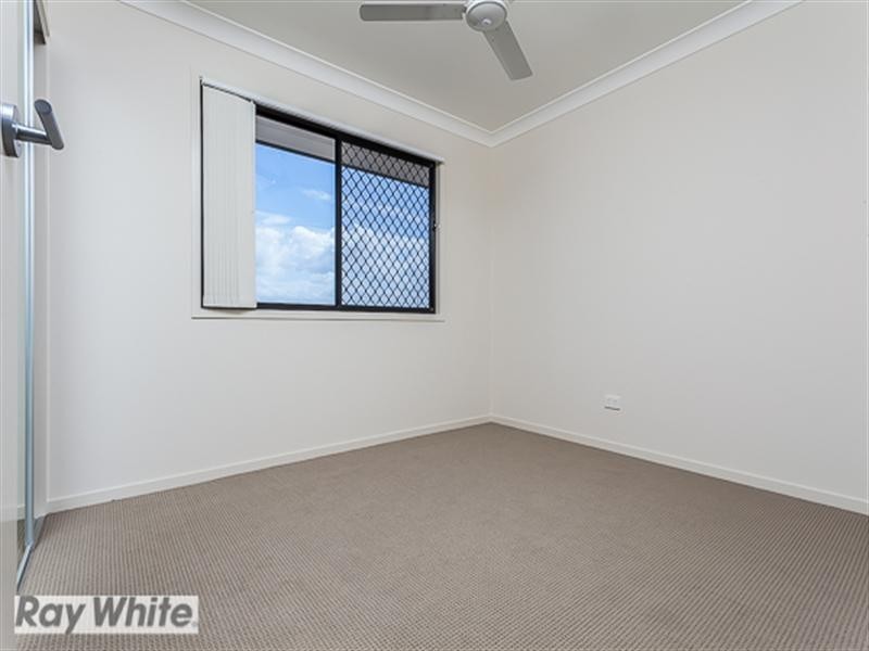 Griffin QLD 4503