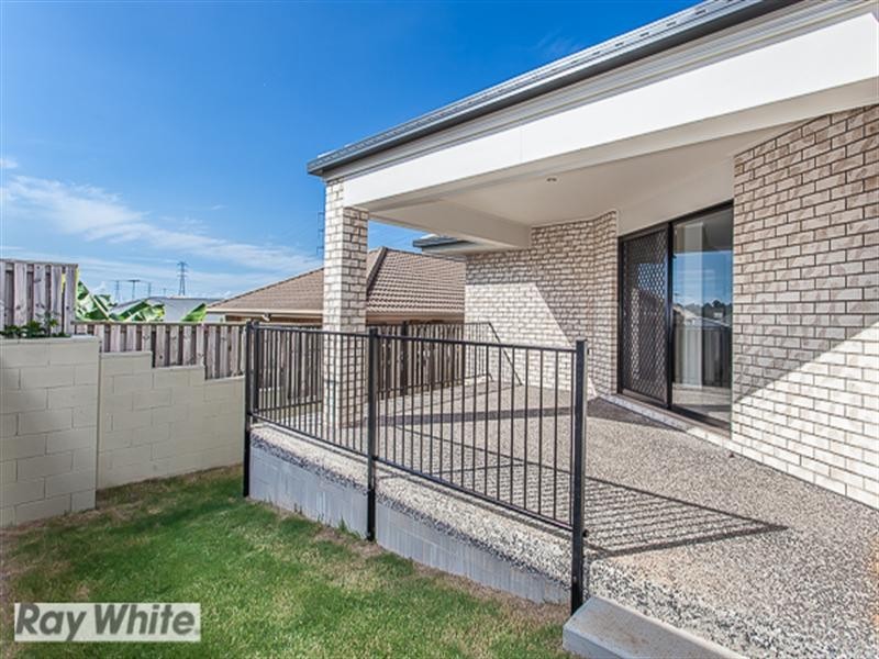 Griffin QLD 4503