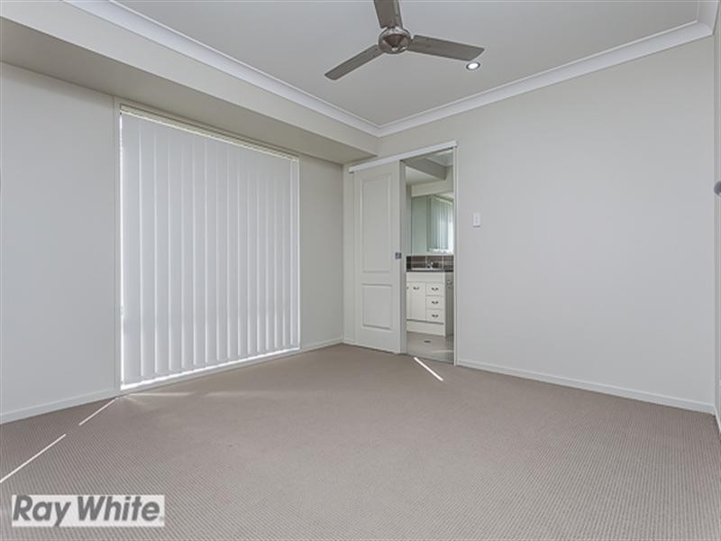 Griffin QLD 4503