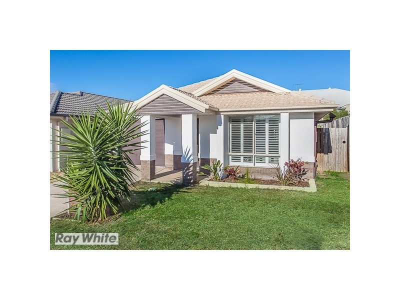12 Vanilla Avenue, Griffin QLD 4503